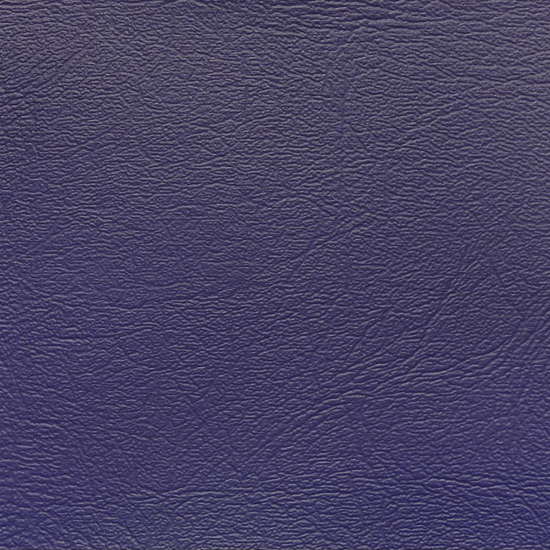 Royal Purple swatch
